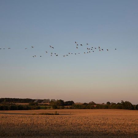 Neu Gaarz Mitten In Der Natur : Ferienwohnung Mit 3 Schlafzimmern, Neu Eingerichtet מראה חיצוני תמונה