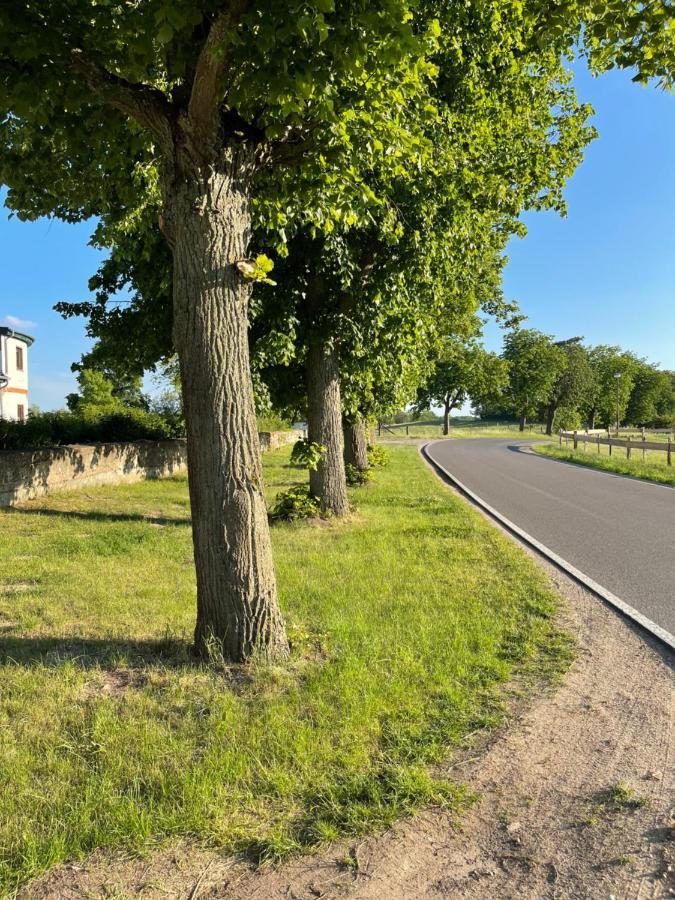 Neu Gaarz Mitten In Der Natur : Ferienwohnung Mit 3 Schlafzimmern, Neu Eingerichtet מראה חיצוני תמונה